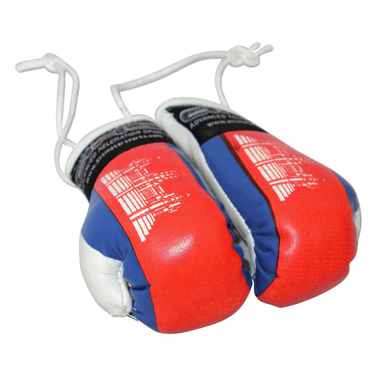 AXS Mini Boxing Gloves - -Cambodia One Pair