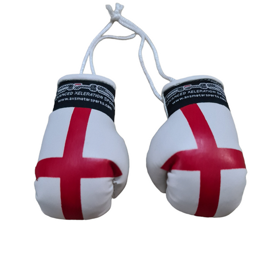 AXS Mini Boxing Gloves - England / English One Pair