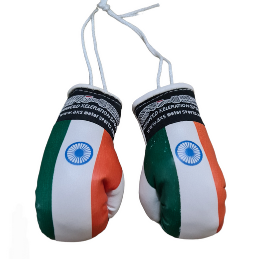 AXS Mini Boxing Gloves - India / Indian One Pair