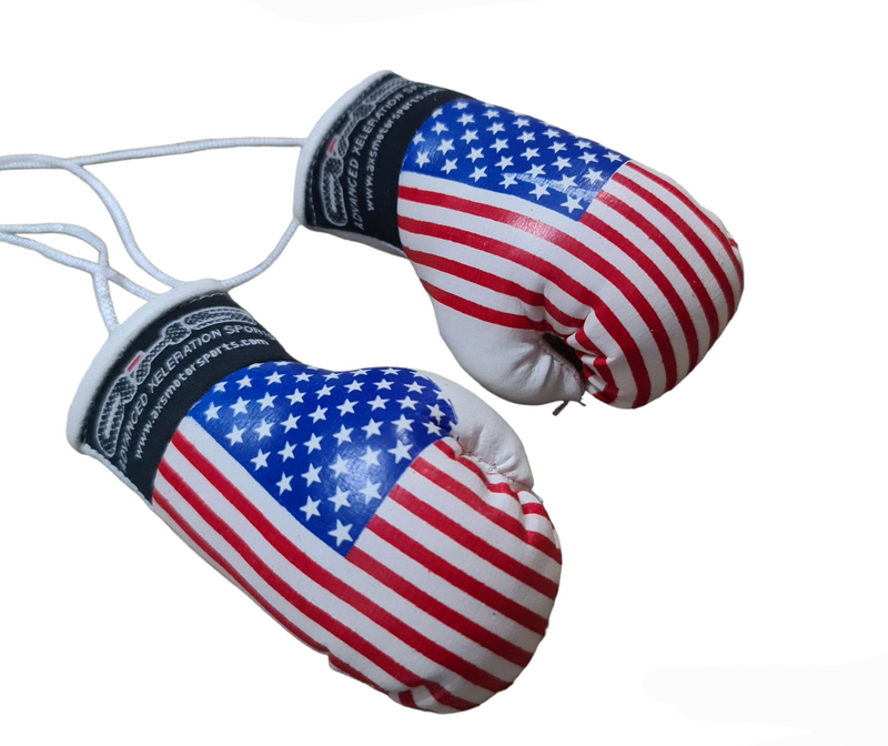 AXS Mini Boxing Gloves - USA / American One Pair