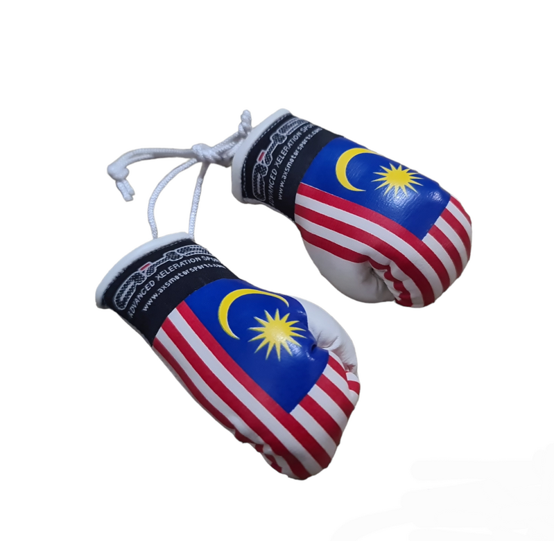 Axs Mini Boxing Gloves- Malaysia One Pair