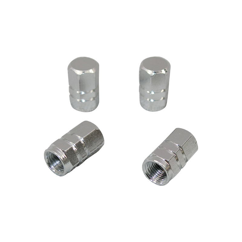 Tyre Valve Caps- Silver Colour TG16