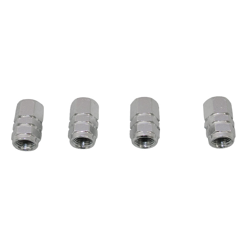 Tyre Valve Caps- Silver Colour TG16