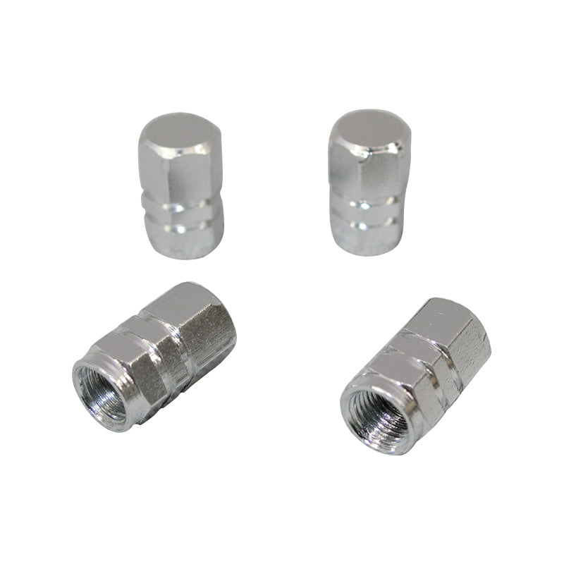 Tyre Valve Caps- Silver Colour TG16