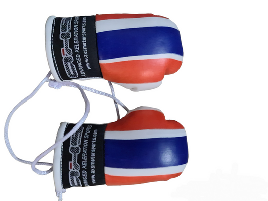 AXS Mini Boxing Gloves - Thailand One Pair