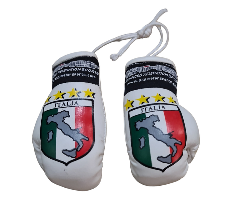 AXS Mini Boxing Gloves - Italy One Pair