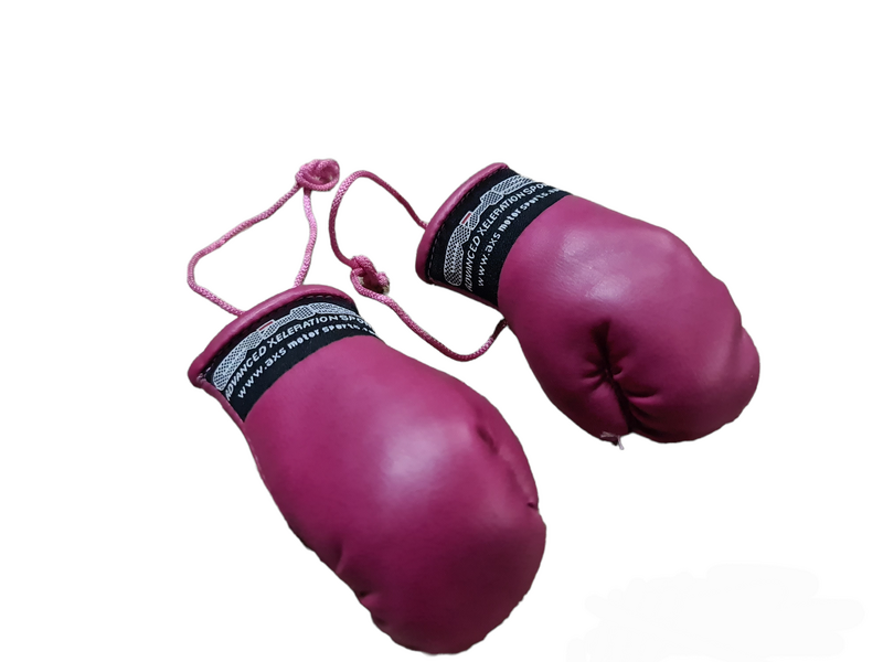 AXS Mini Boxing Gloves - Maroon Black One Pair