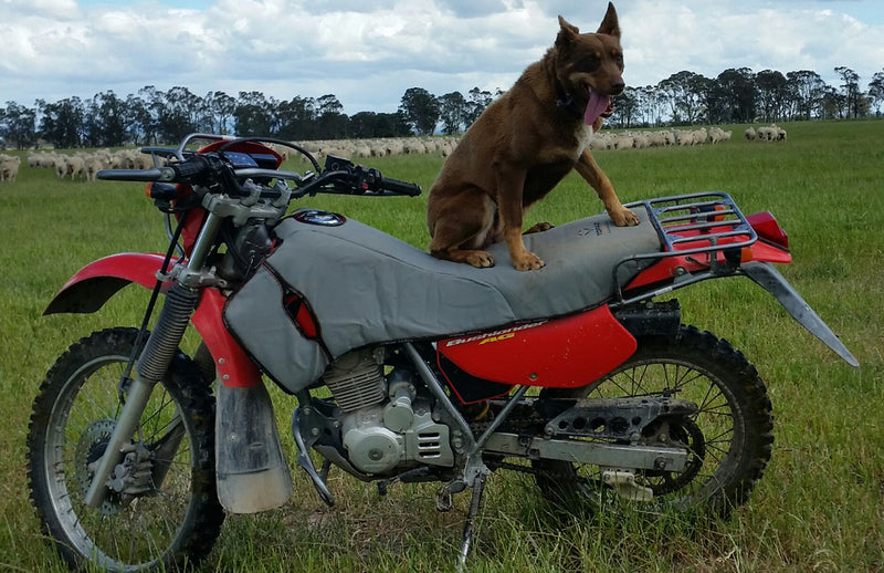 Motorcycle Padded Canvas Seat and Tank Cover Suits Honda CTX200 Bushlander 2002-On AH366BP All-in-One